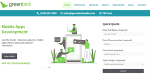 web development companies in Georgia