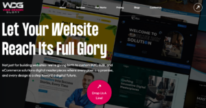 web development companies in Georgia