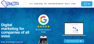 Web Development Companies in Idaho