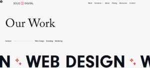 Web Development Companies in Illinois